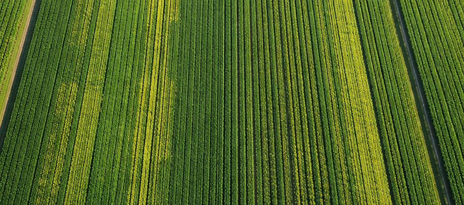 Vast-crop-fields-in-rural-North-Carolina.png
